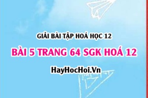 Giải bài 5 trang 64 SGK Hoá 12: Tính chất hoá học của Polime